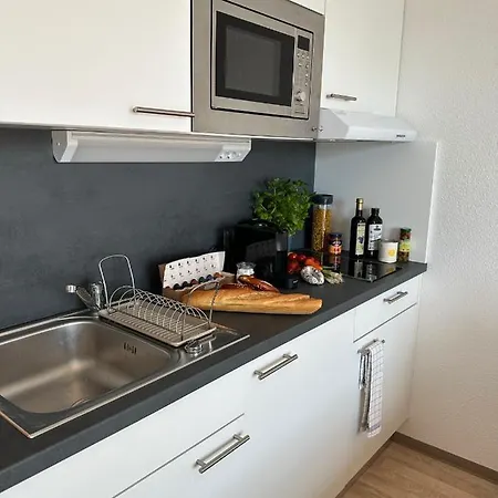 Apartment Stilvolles Und Modernes Mit Sonnigem Balkon In Flughafen- Und Messenaehe 31